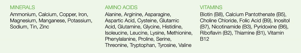 Skinko Ingredients - Minerals, Vitamins & Amino Acids